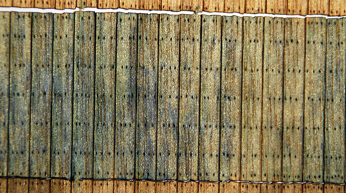 weathered planking - BlueWood